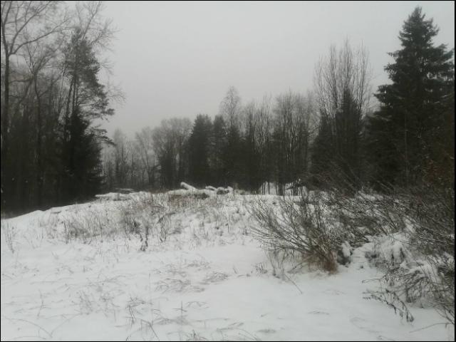 Лот 4035816